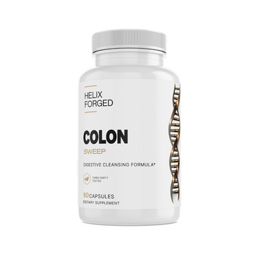 Colon